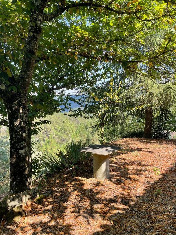 Вилла Casa Do Cuco, Ribeira Sacra Оренсе Экстерьер фото